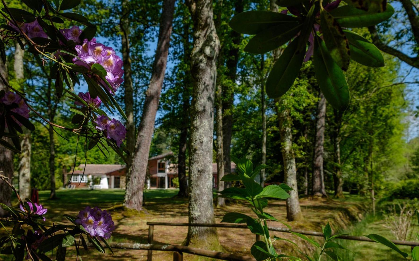 Parc De L'Aiguade Bed and Breakfast Saint-Paul-lès-Dax Eksteriør billede