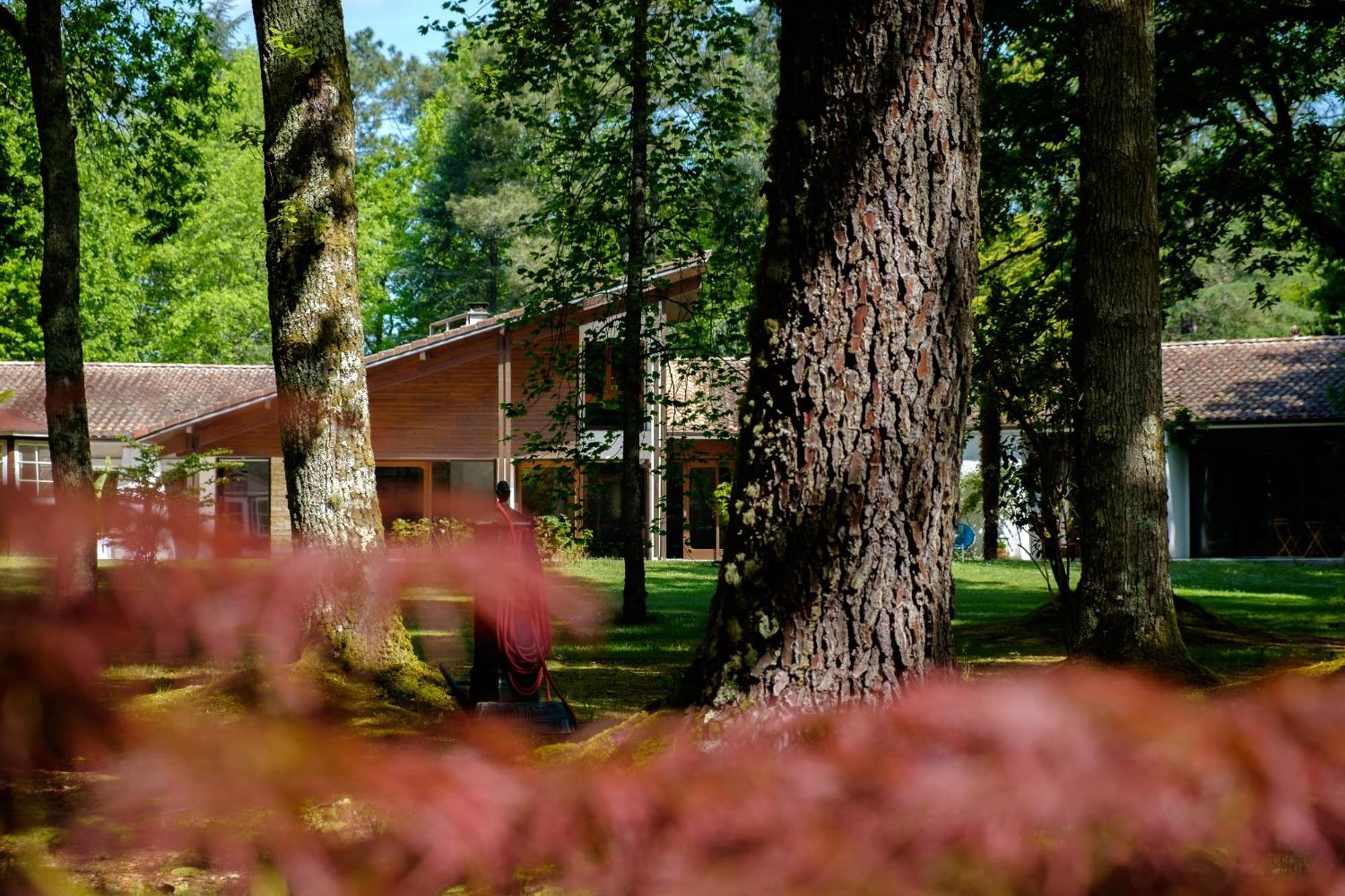Parc De L'Aiguade Bed and Breakfast Saint-Paul-lès-Dax Eksteriør billede