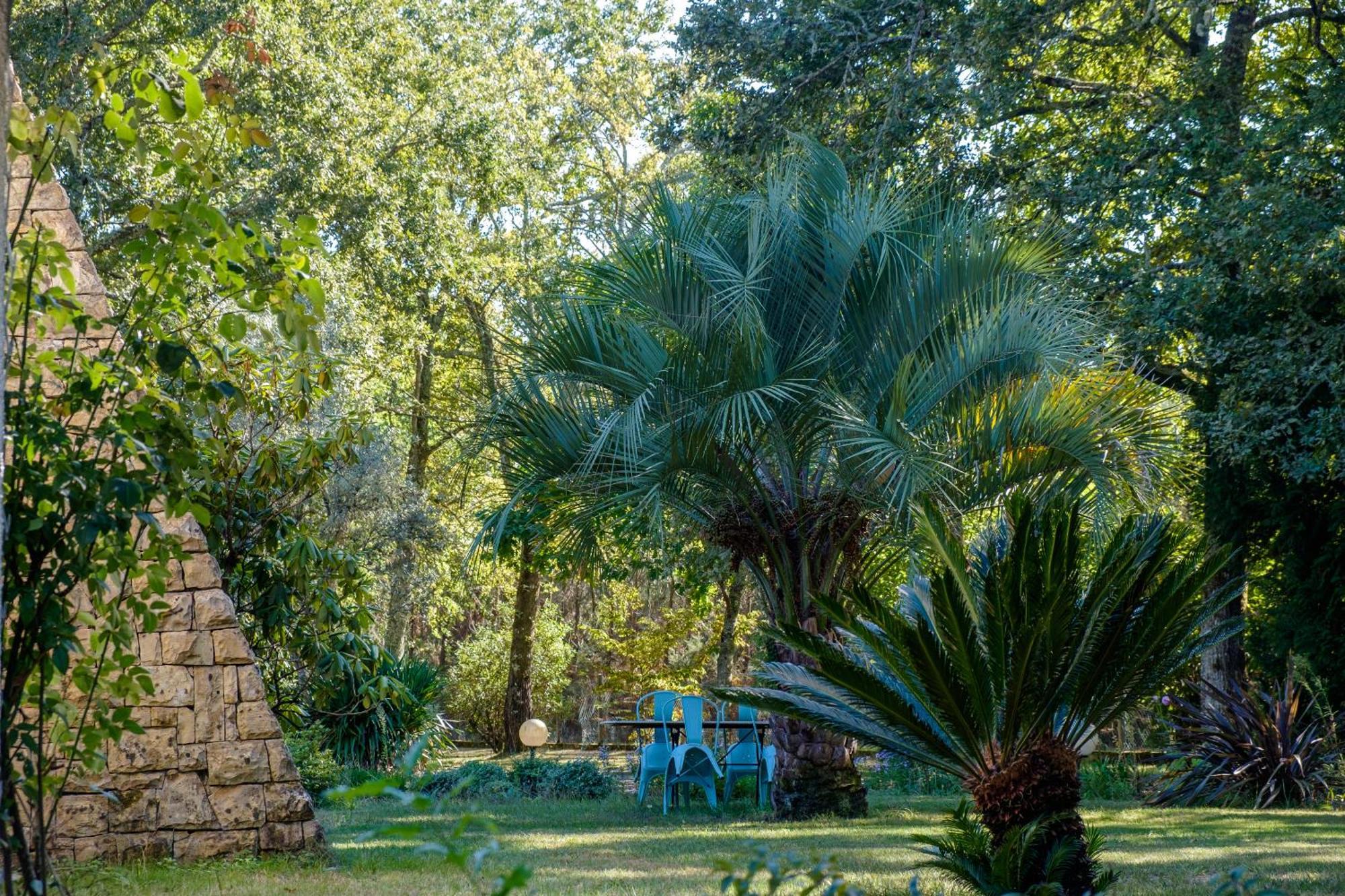 Parc De L'Aiguade Bed and Breakfast Saint-Paul-lès-Dax Eksteriør billede